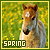 Fr&uuml;hling